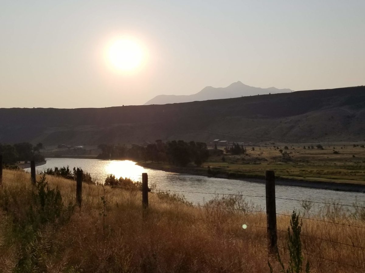 20180803_072611-1200x900