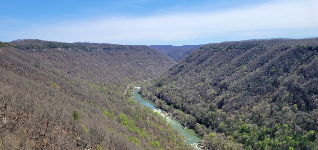An overhead view of a river at the bottom of a gorge lined with trees.