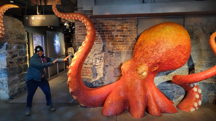 A woman looks like she is batteling a giant Octopus.