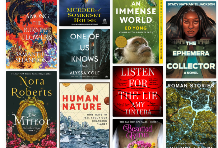 A snapshot of different book covers